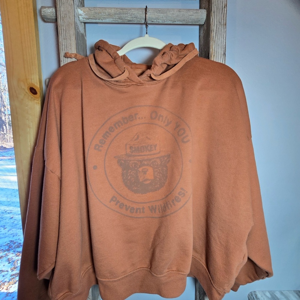 American Eagle Smokey Bear Brown Hoodie